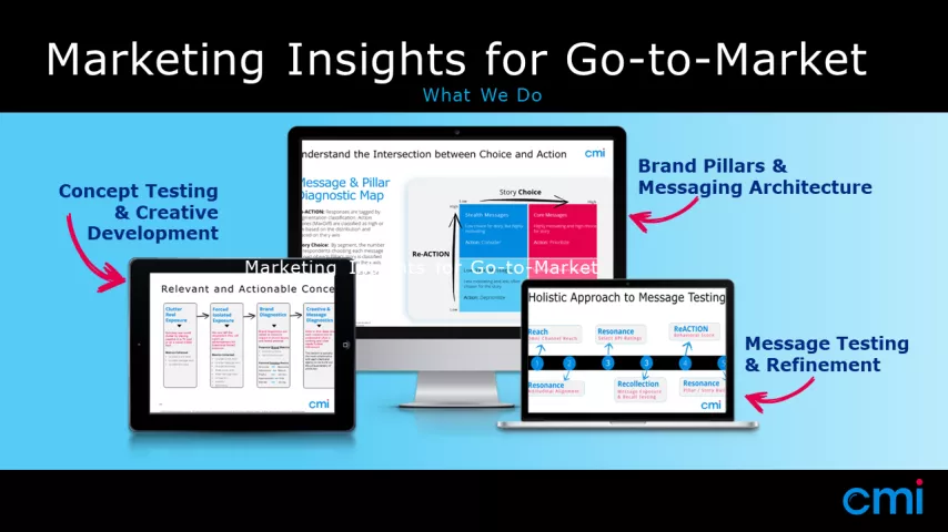 Pricing Analysis Archives - CMI Research